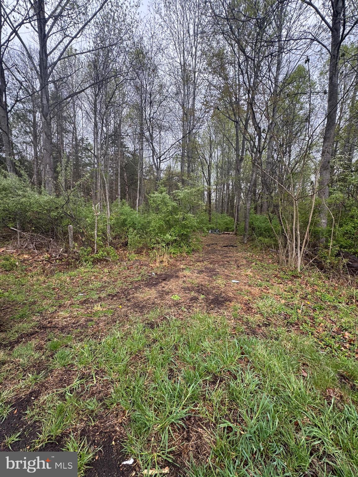 Old Stillhouse Road Culpeper, VA 22701 - Photo 5 of 6 Gallery Image 5