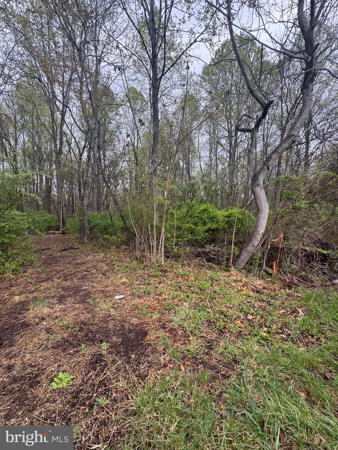 Old Stillhouse Road Culpeper, VA 22701 - Photo 6 of 6 Gallery Image 6