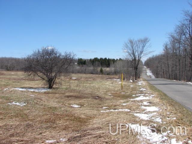Tbd Section 22 Road Iron River, MI 49935 - Photo 1 of 4