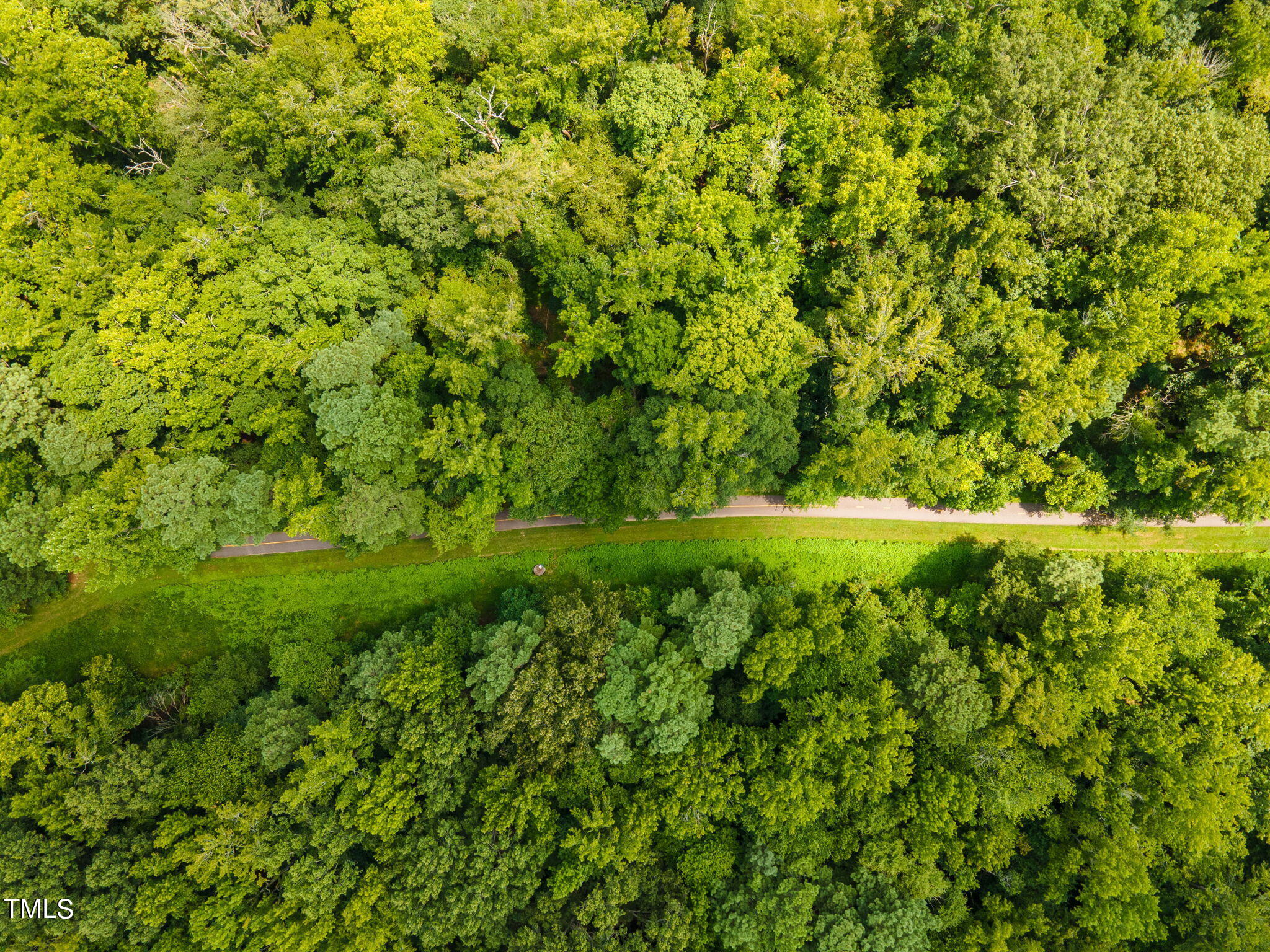 6021 Big Sandy Drive Raleigh, NC 27616 - Photo 51 of 68 15-web-or-mls-DJI_0047