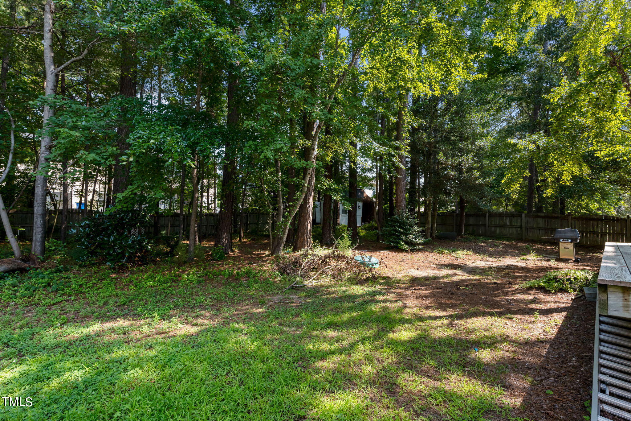 6021 Big Sandy Drive Raleigh, NC 27616 - Photo 64 of 68 68-web-or-mls-P1223595