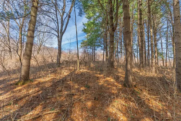 $9,950 | Lot 63 Staghorn La, La Valle, WI 53941