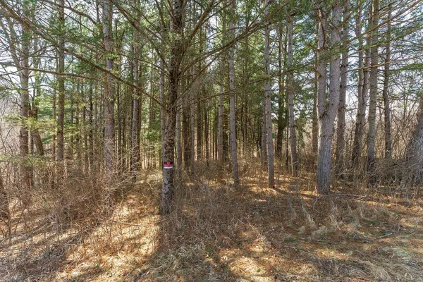 $9,950 | Lot 63 Staghorn La, La Valle, WI 53941