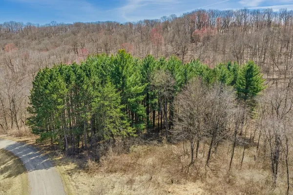 $9,950 | Lot 63 Staghorn La, La Valle, WI 53941