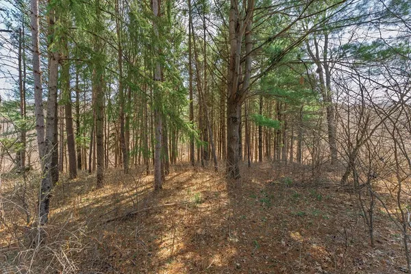 $9,950 | Lot 63 Staghorn La, La Valle, WI 53941