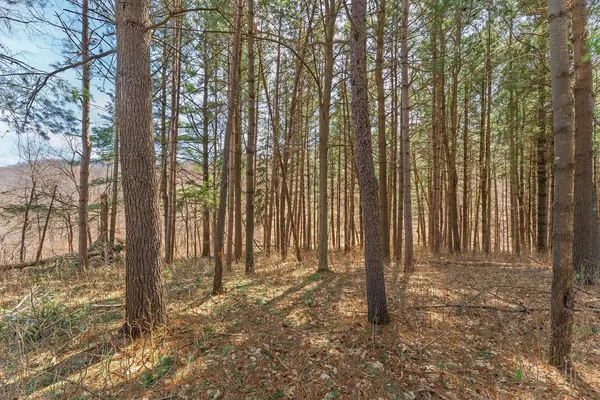 $9,950 | Lot 63 Staghorn La, La Valle, WI 53941