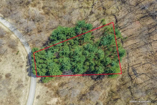 $9,950 | Lot 63 Staghorn La, La Valle, WI 53941