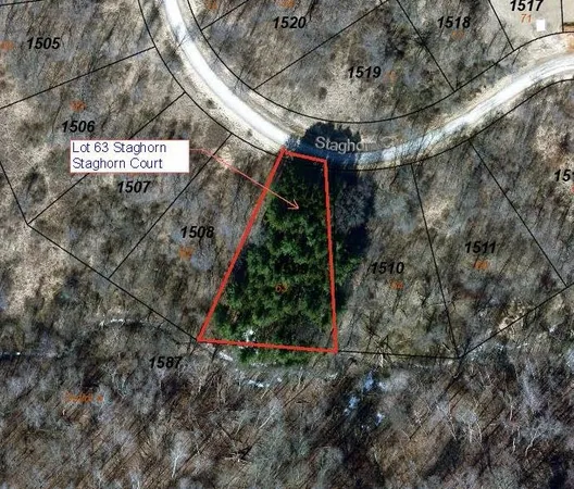 $9,950 | Lot 63 Staghorn La, La Valle, WI 53941