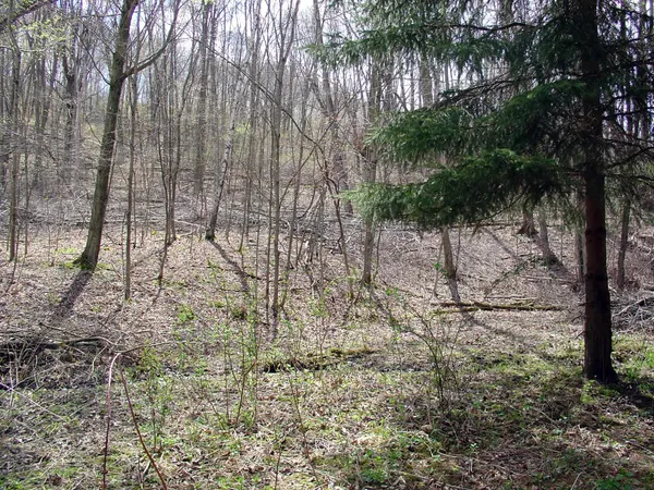$9,950 | Lot 63 Staghorn La, La Valle, WI 53941