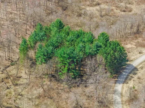 $9,950 | Lot 63 Staghorn La, La Valle, WI 53941
