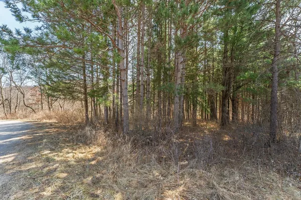 $9,950 | Lot 63 Staghorn La, La Valle, WI 53941