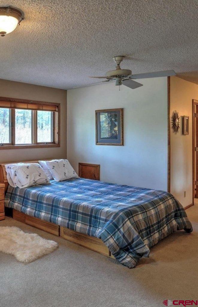 513 West Log Hill Road Pagosa Springs, CO 81147 - Photo 7 of 20