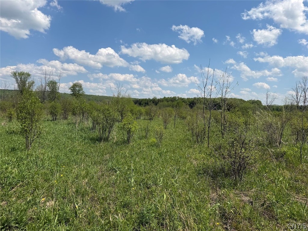 Buttermilk Road South Dayton, NY 14138 - Photo 22 of 26