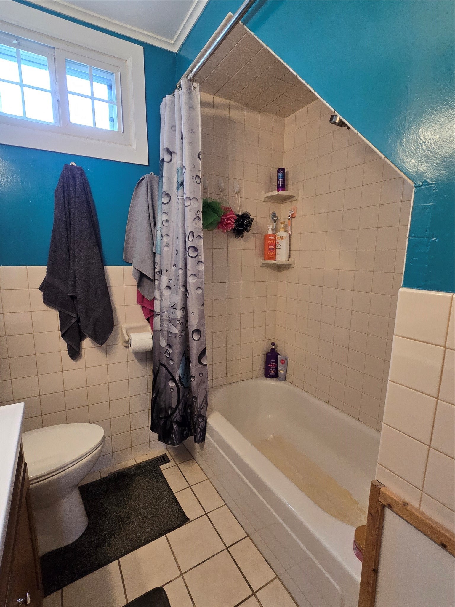 1425 3rd Street Chetek, WI 54728 - Photo 31 of 32 Gallery Image 31