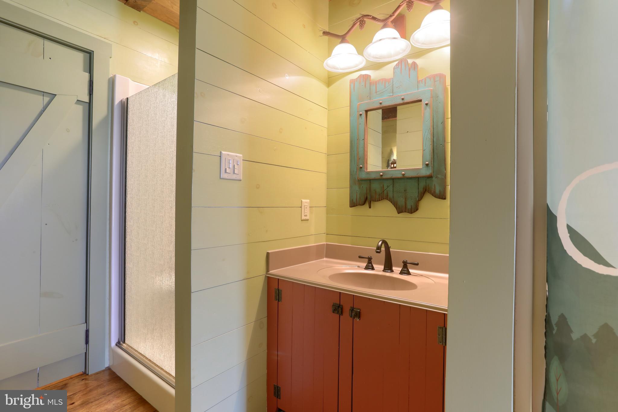 4428 Fairview Road Columbia, PA 17512 - Photo 16 of 30 Main floor bath with walk-in shower & tub shower