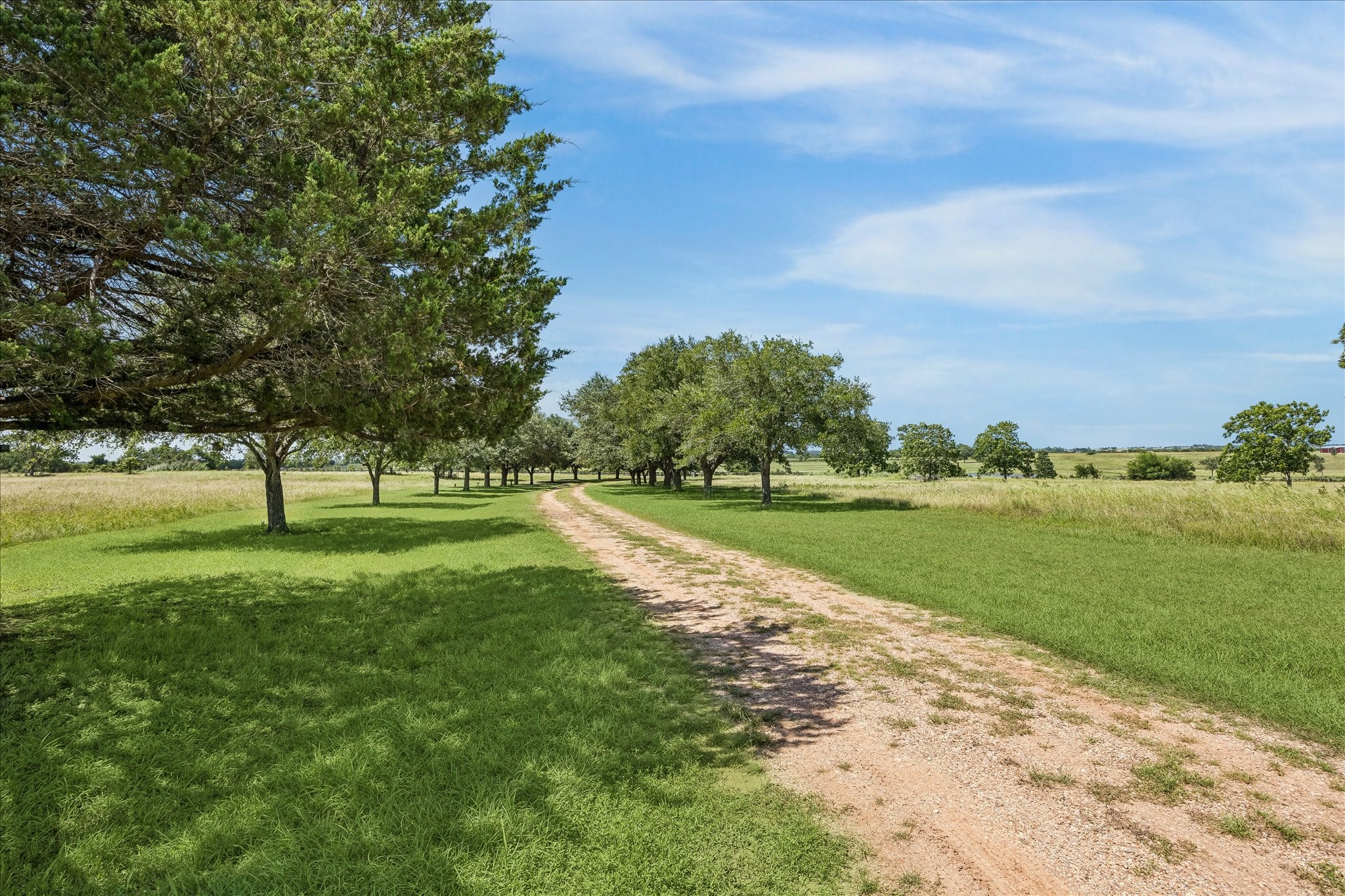 18250 Bosse Road Washington, TX 77880 - Photo 37 of 48