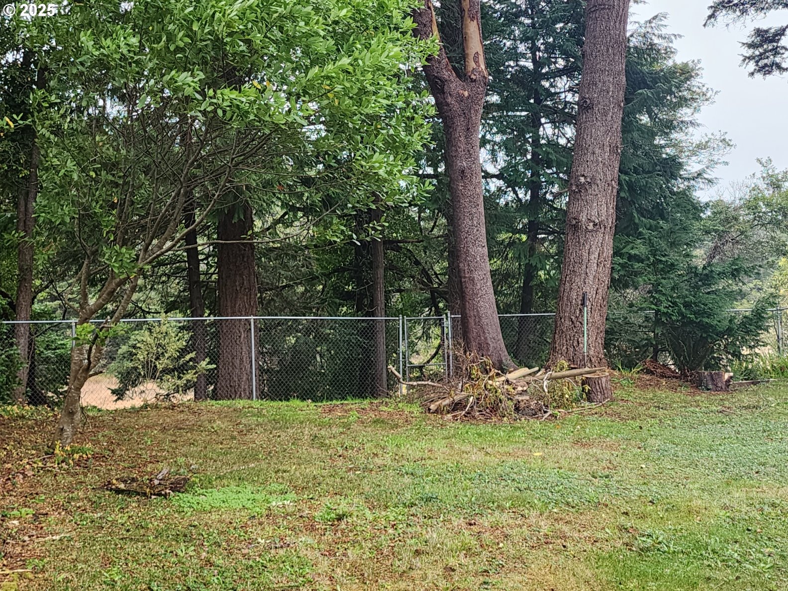 2605 Port Orford Loop Road Port Orford, OR 97465 - Photo 21 of 25 a view of a backyard with potted plants and large trees