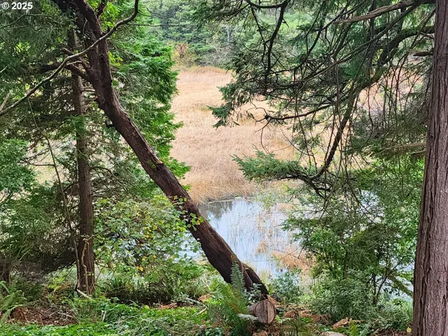 $360,000 | 2605 Port Orford Loop Road, Port Orford, OR 97465