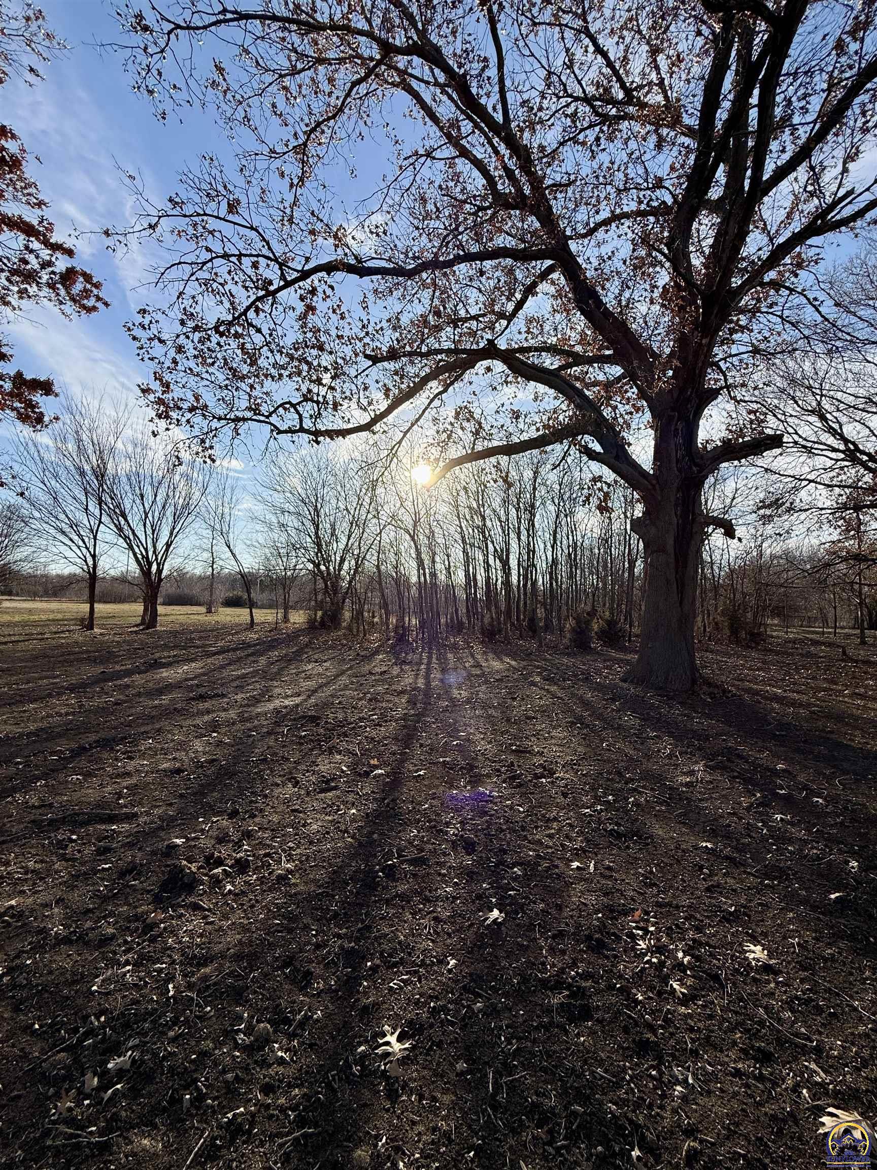 21347 South Auburn Road Osage City, KS 66523 - Photo 27 of 62