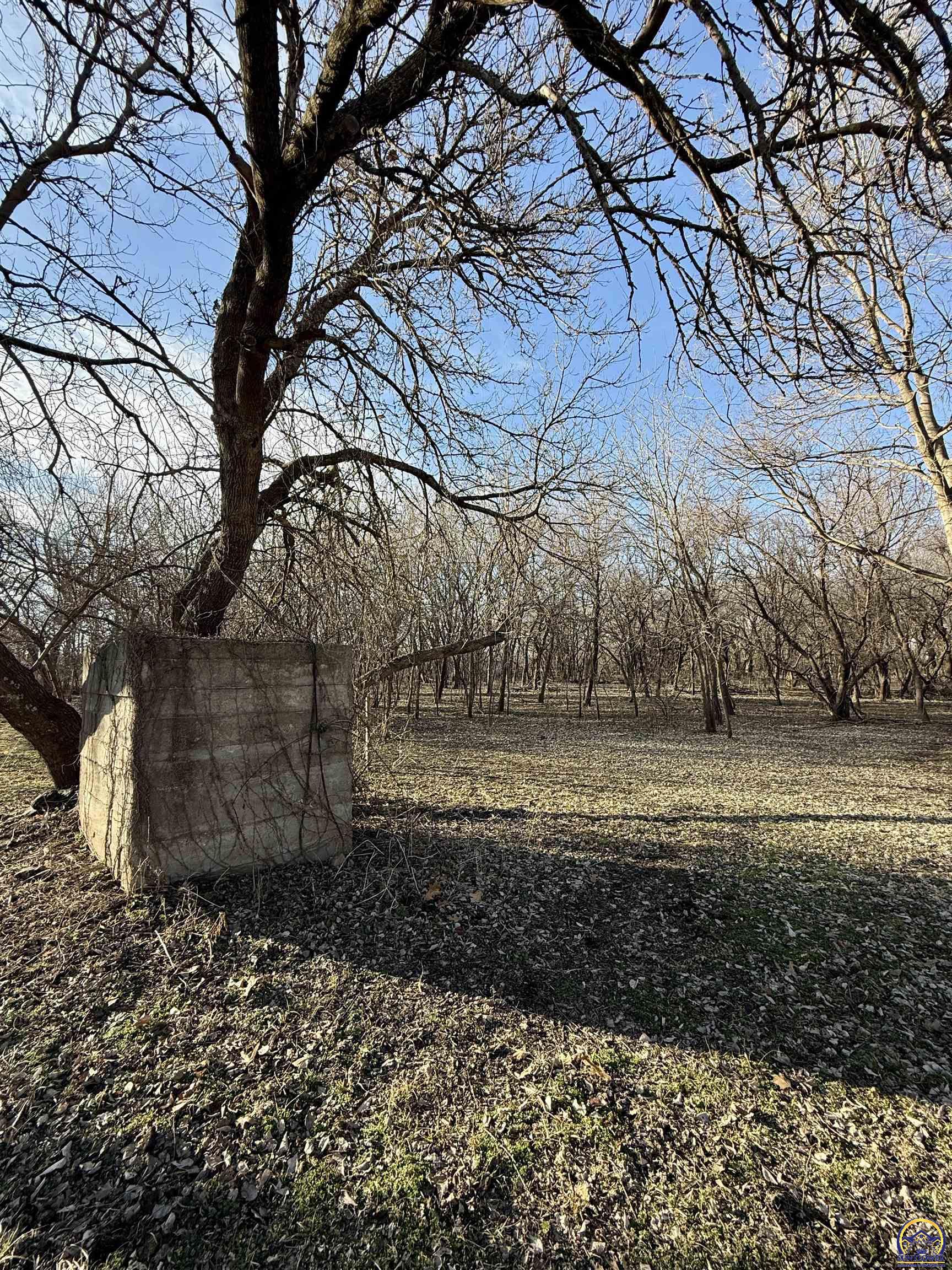 21347 South Auburn Road Osage City, KS 66523 - Photo 33 of 62