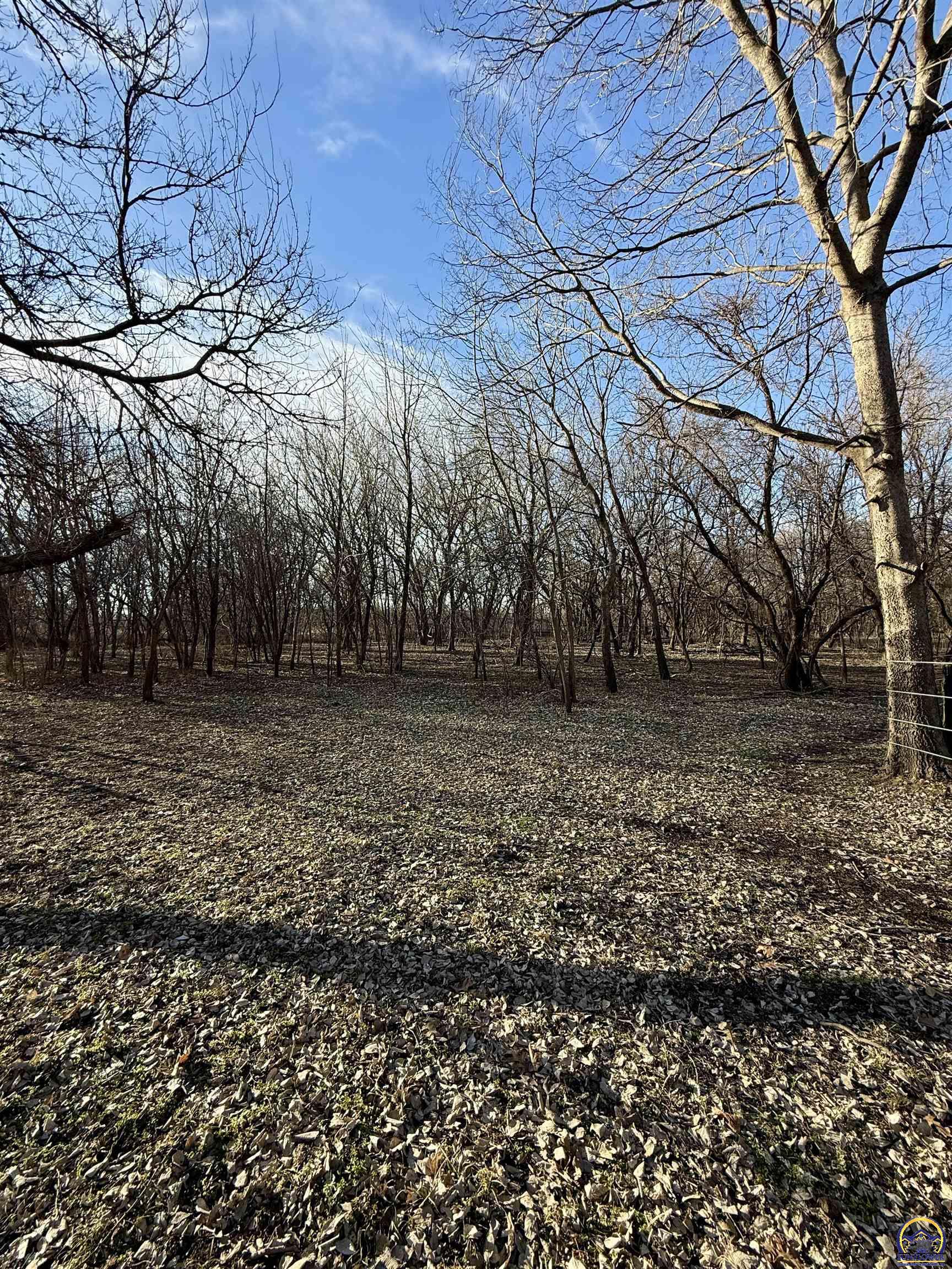 21347 South Auburn Road Osage City, KS 66523 - Photo 35 of 62