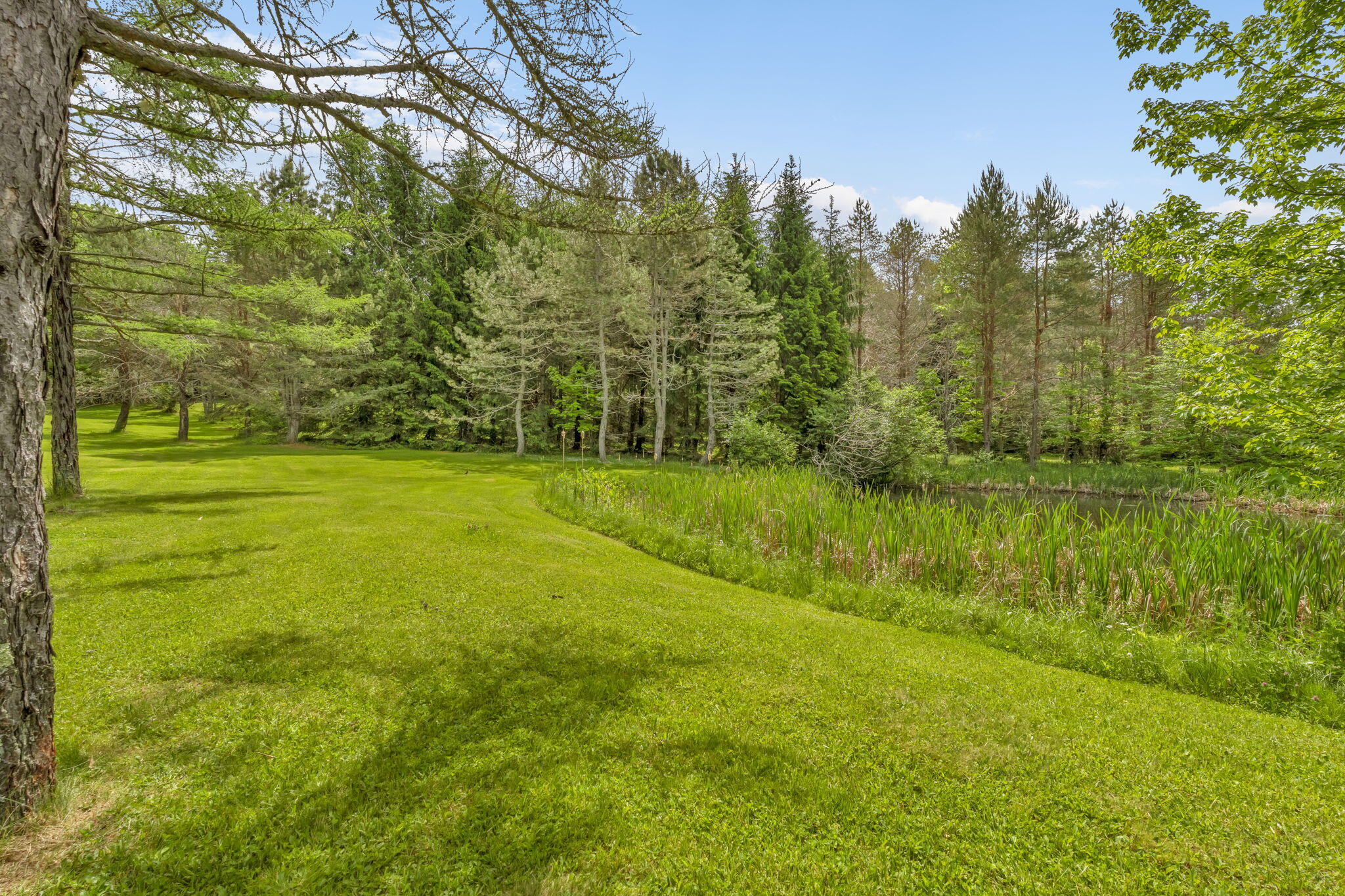 209 Calderwood Road Washington, ME 04574 - Photo 10 of 49 40-web-or-mls-209-calderwood-rd
