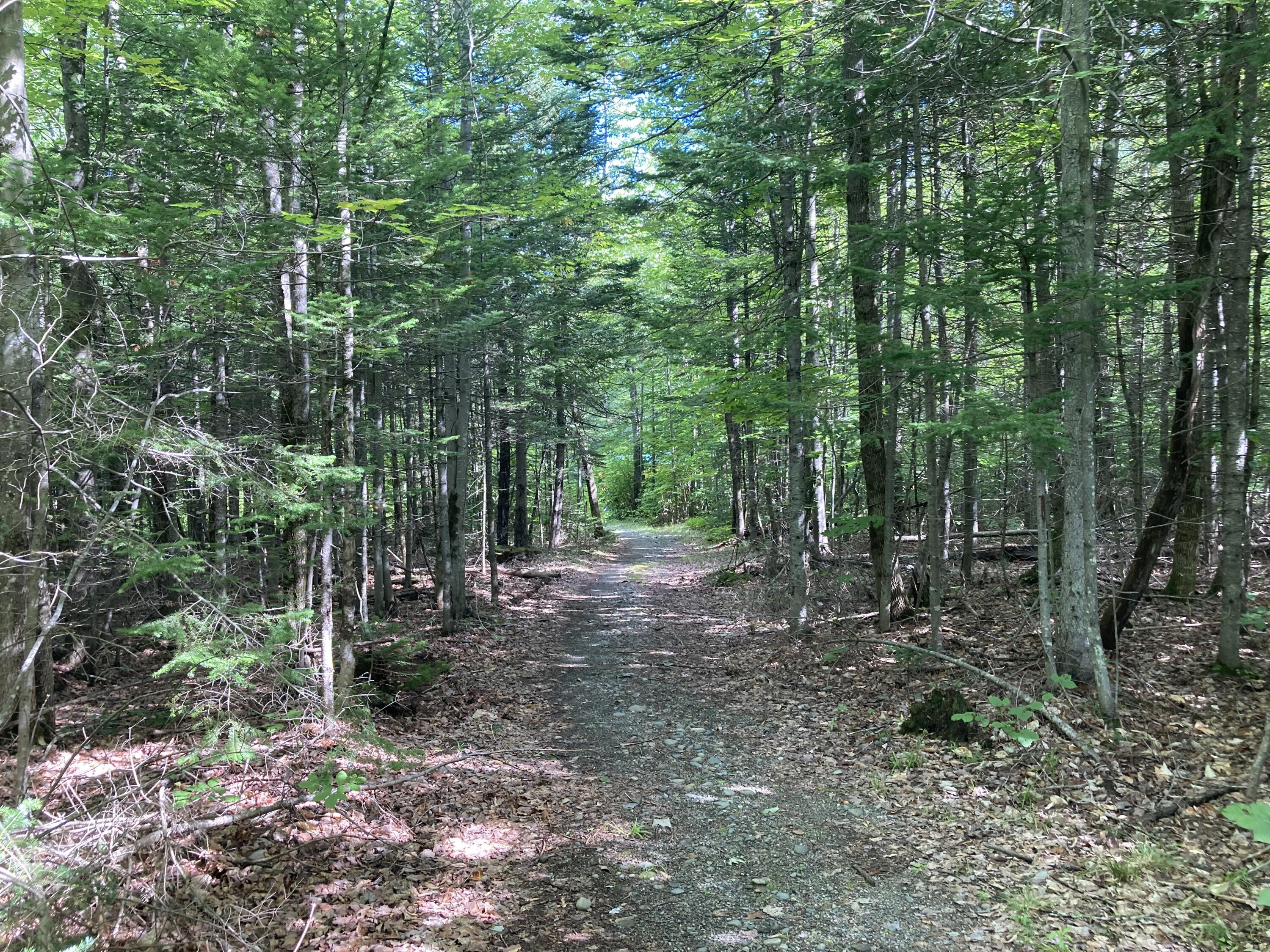 45 Benoak Road Wilton, ME 04294 - Photo 16 of 25 2F5B2639-20E9-4DBB-A7CE-3ADF7B29BD27