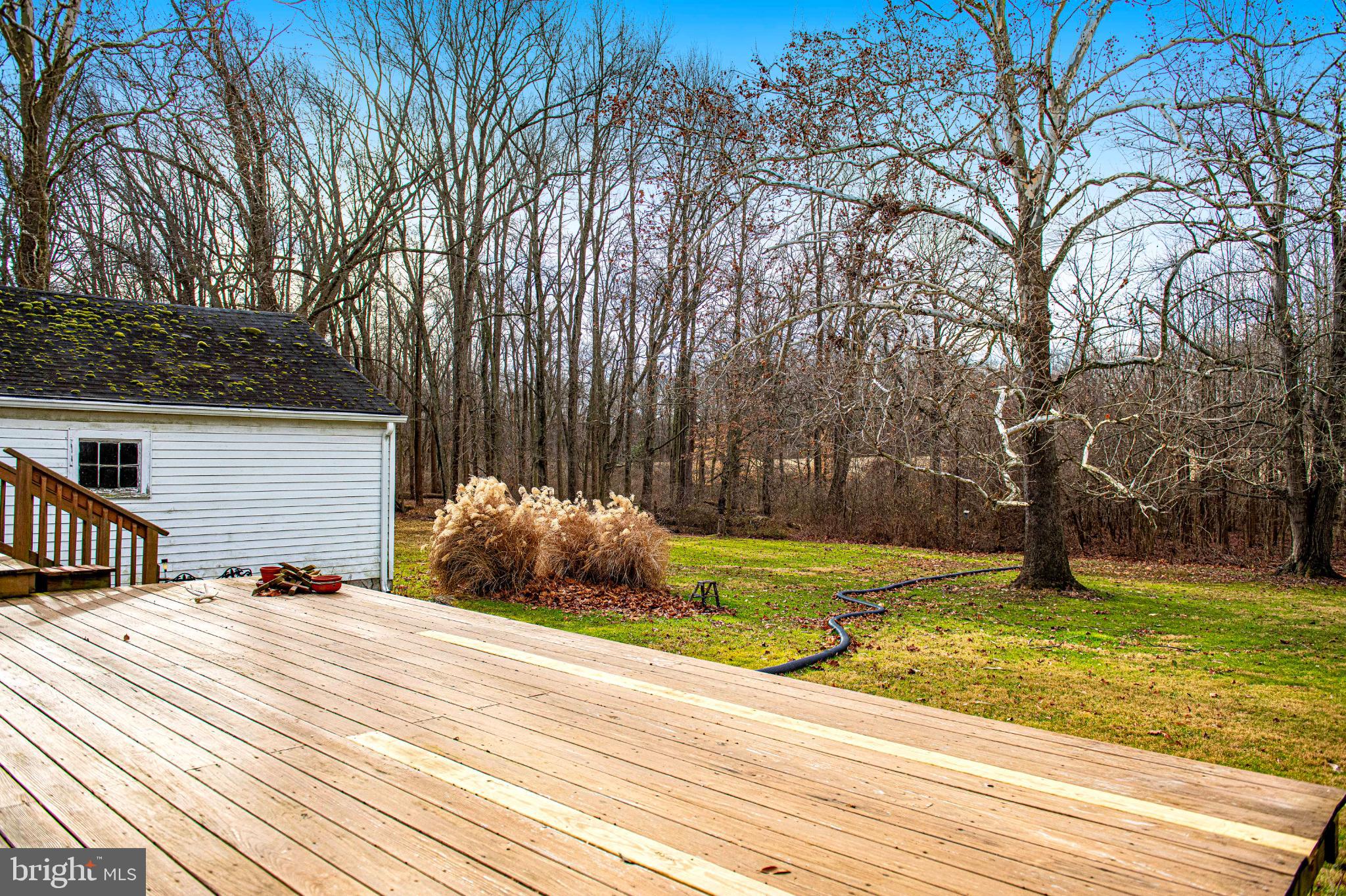 518 Paradise Road Aberdeen, MD 21001 - Photo 31 of 37 Serene backyard retreat with natural beauty.