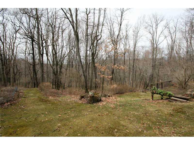 5294 Richland Road Gibsonia, PA 15044 - Photo 10 of 10 View. backyard