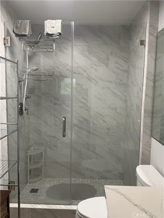 a bathroom with a shower and toilet