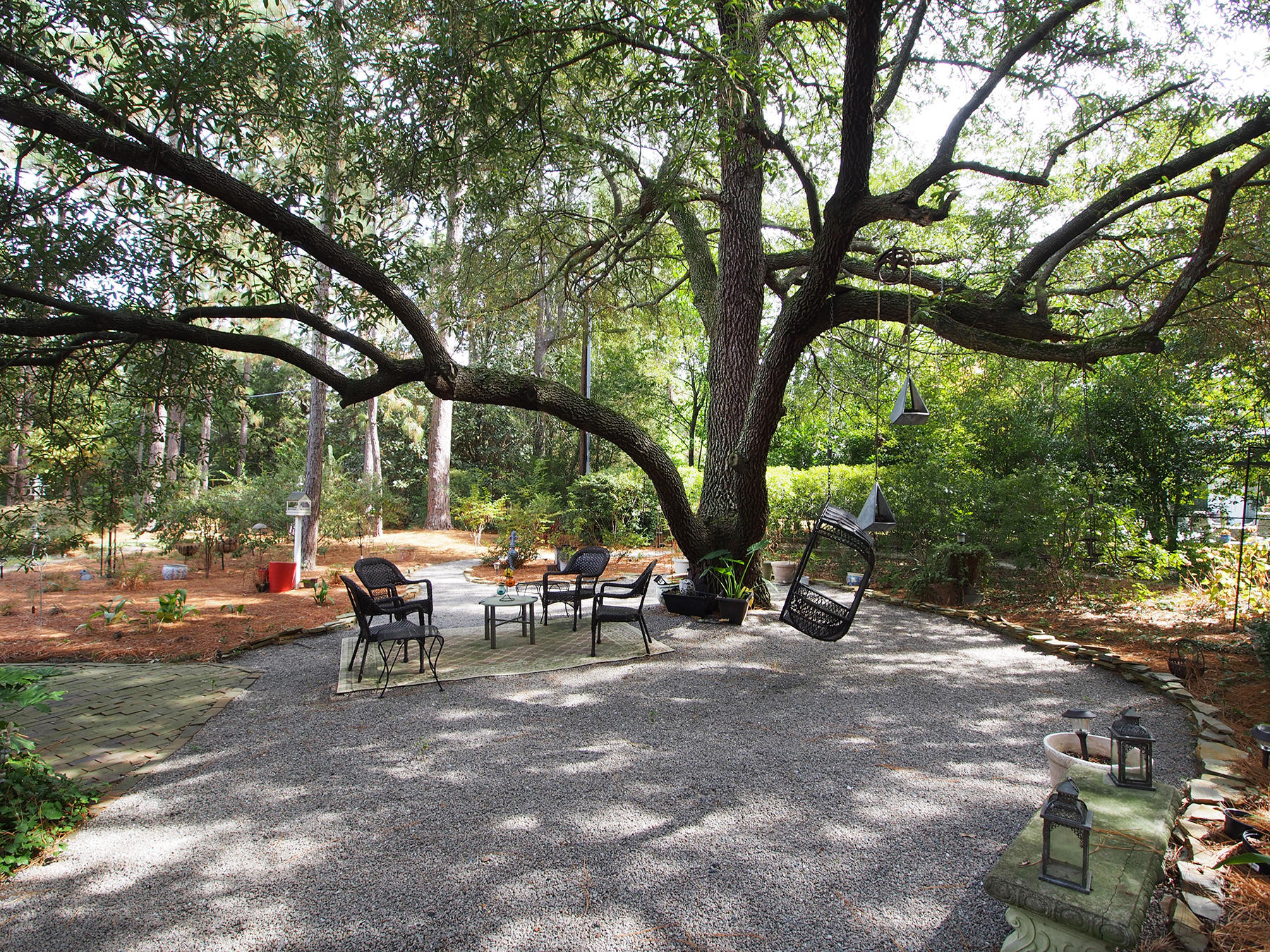 40 Campbell Road Pinehurst, NC 28374 - Photo 2 of 39 Live Oak Tree-second OLDEST in the county.