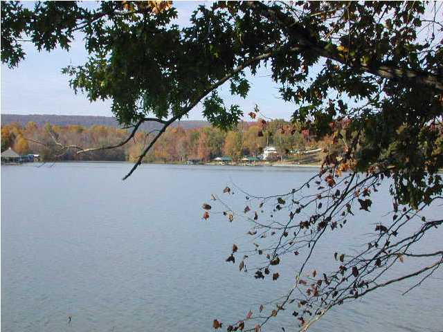 14 Spring Cove Lane Spring City, TN 37381 - Photo 1 of 2 Primary Photo