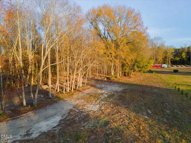 a view of yard with tree in the background