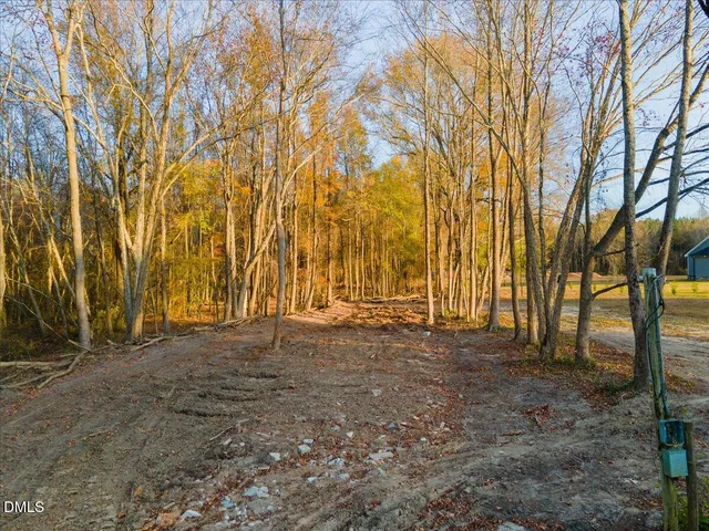 a view of dirt yard with a large trees