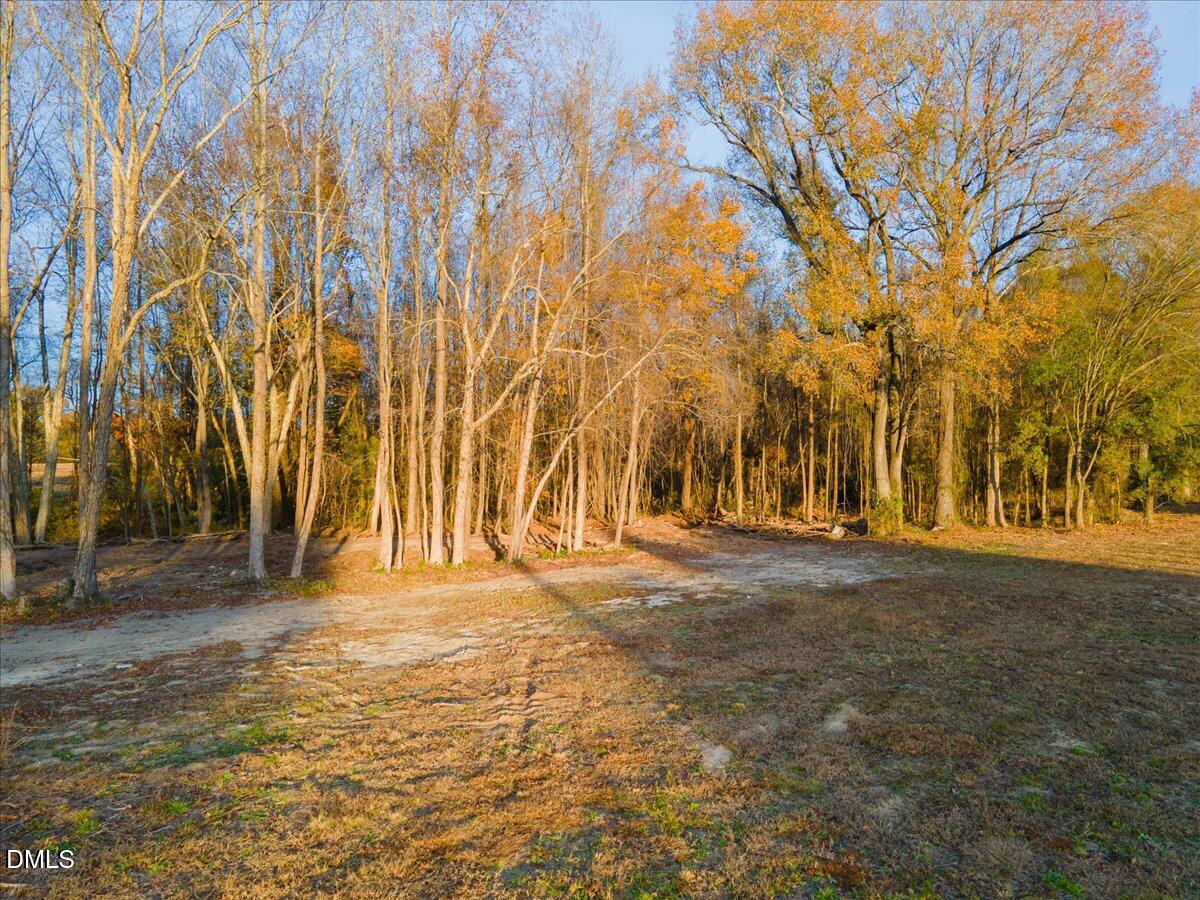 0 Swift Creek Road Smithfield, NC 27577 - Photo 14 of 15 a view of large trees with yard