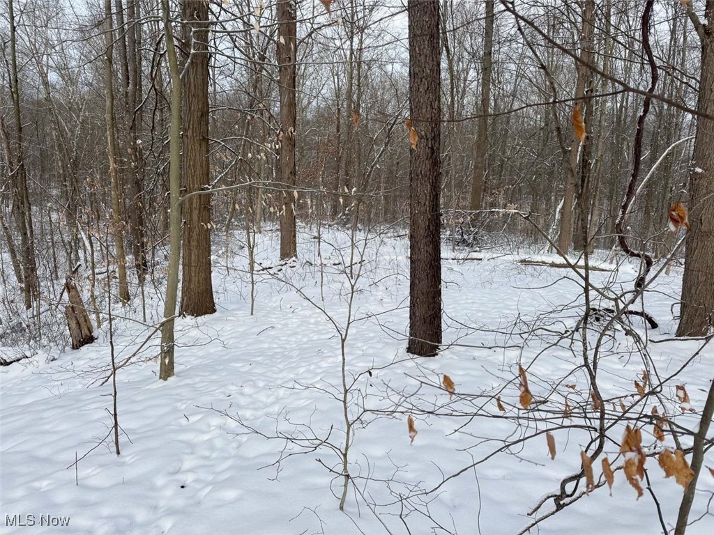 View of snowy view