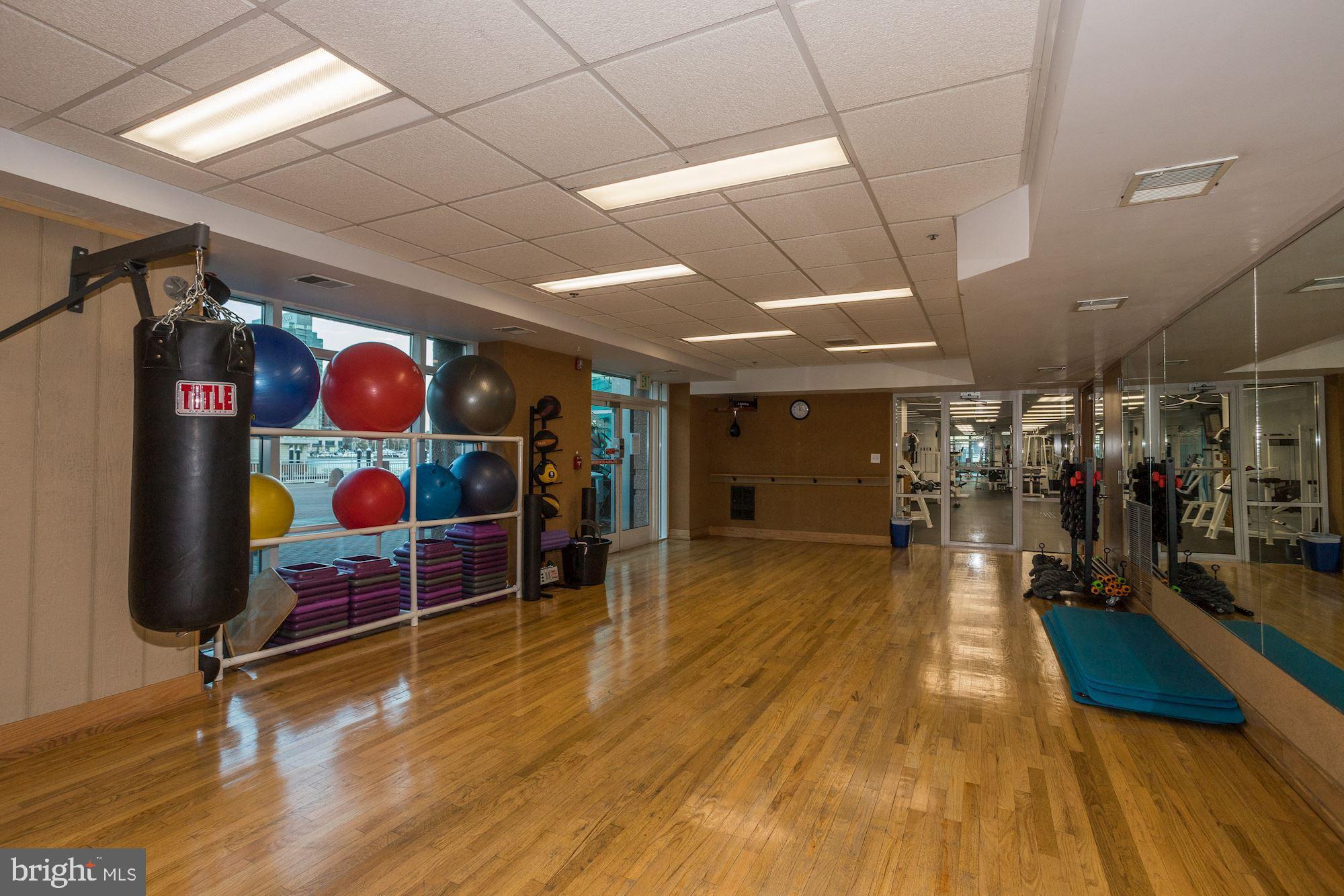 100 Harborview Drive, Unit 1708 Baltimore, MD 21230 - Photo 29 of 39 Private Work-out Space