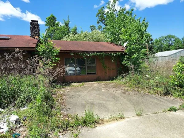 a backyard of a house with plants and trees