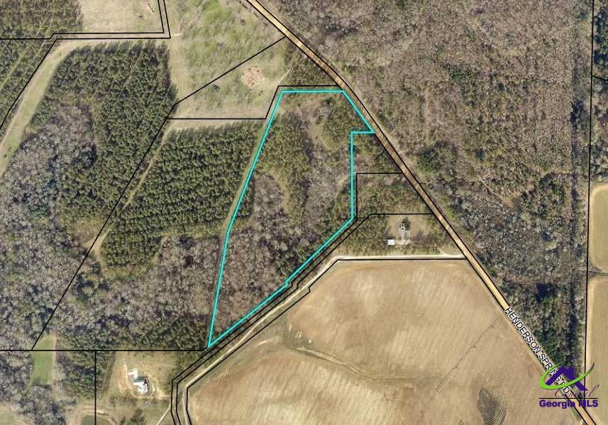 153 Henderson Springs Road Elko, GA 31025 - Photo 1 of 9