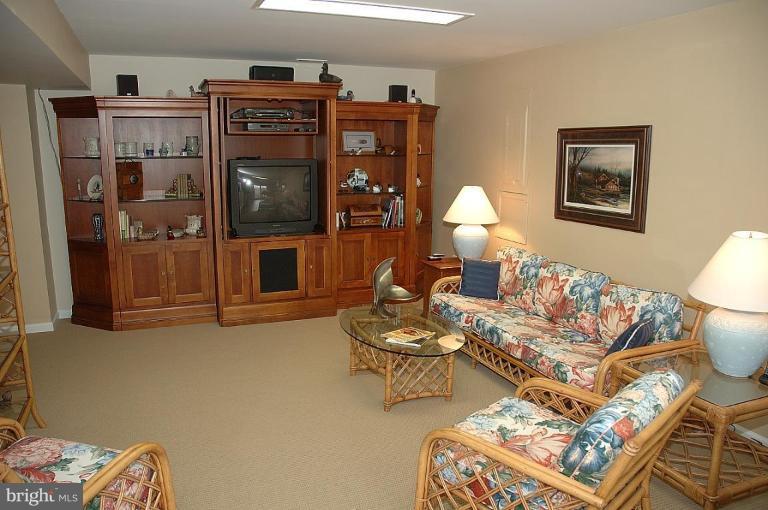1305 Dasher Lane Reston, VA 20190 - Photo 16 of 22 Media Room