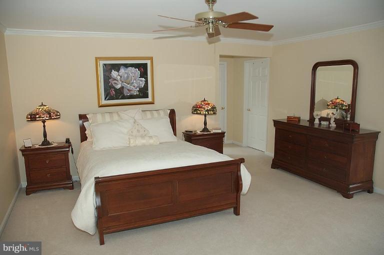 1305 Dasher Lane Reston, VA 20190 - Photo 10 of 22 Master Bedroom