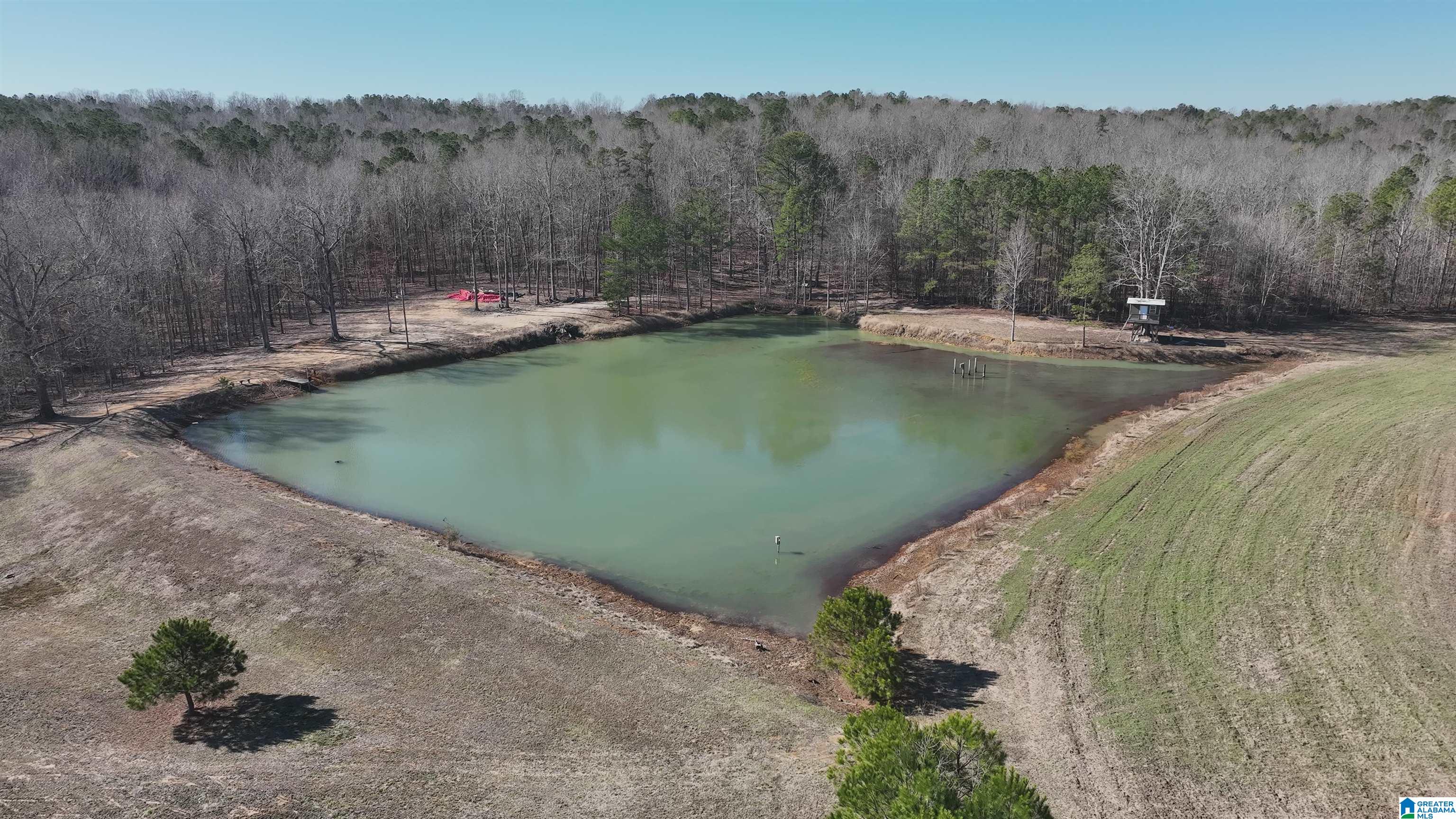 6171 Highway 102, Unit 1 Fayette, AL 35555 - Photo 29 of 68