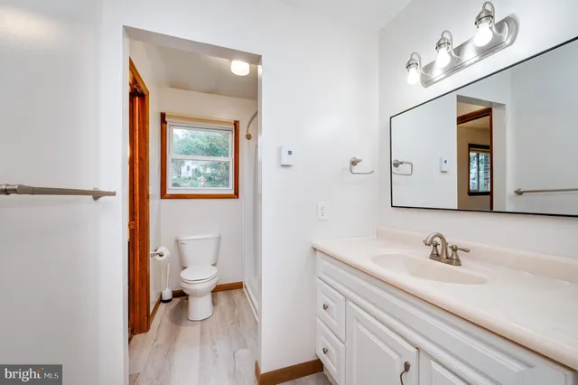 a bathroom with a sink a toilet and a mirror