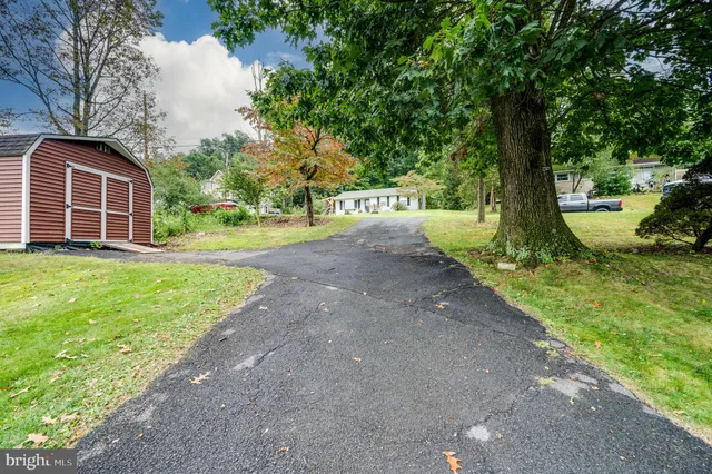 a view of a yard with plants and trees