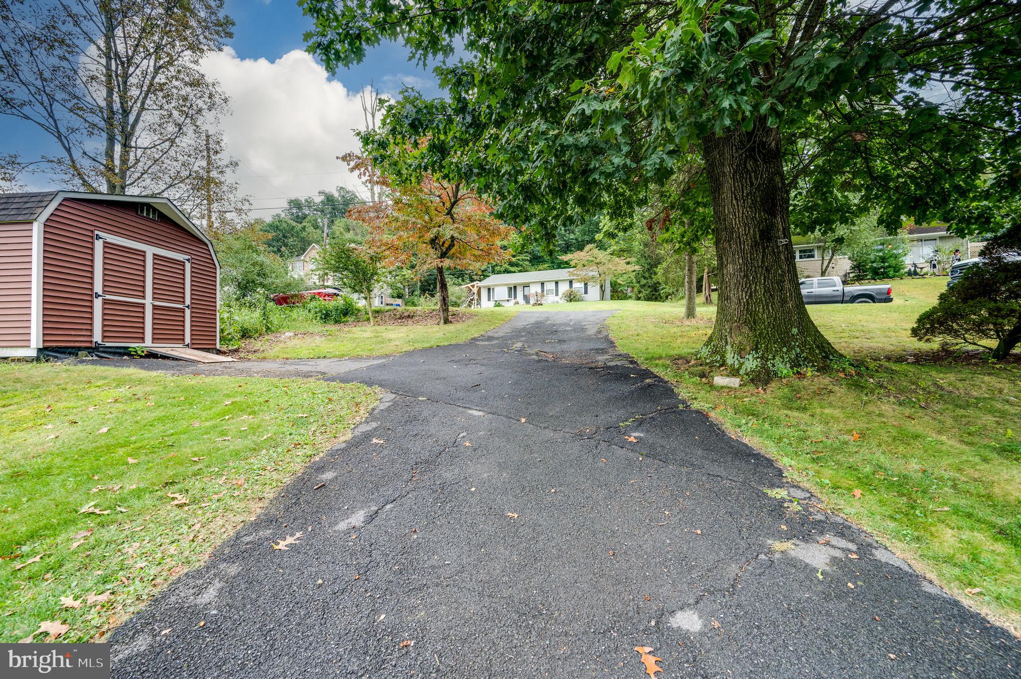1029 Crestview Avenue Reading, PA 19607 - Photo 37 of 44 a view of a yard with plants and trees