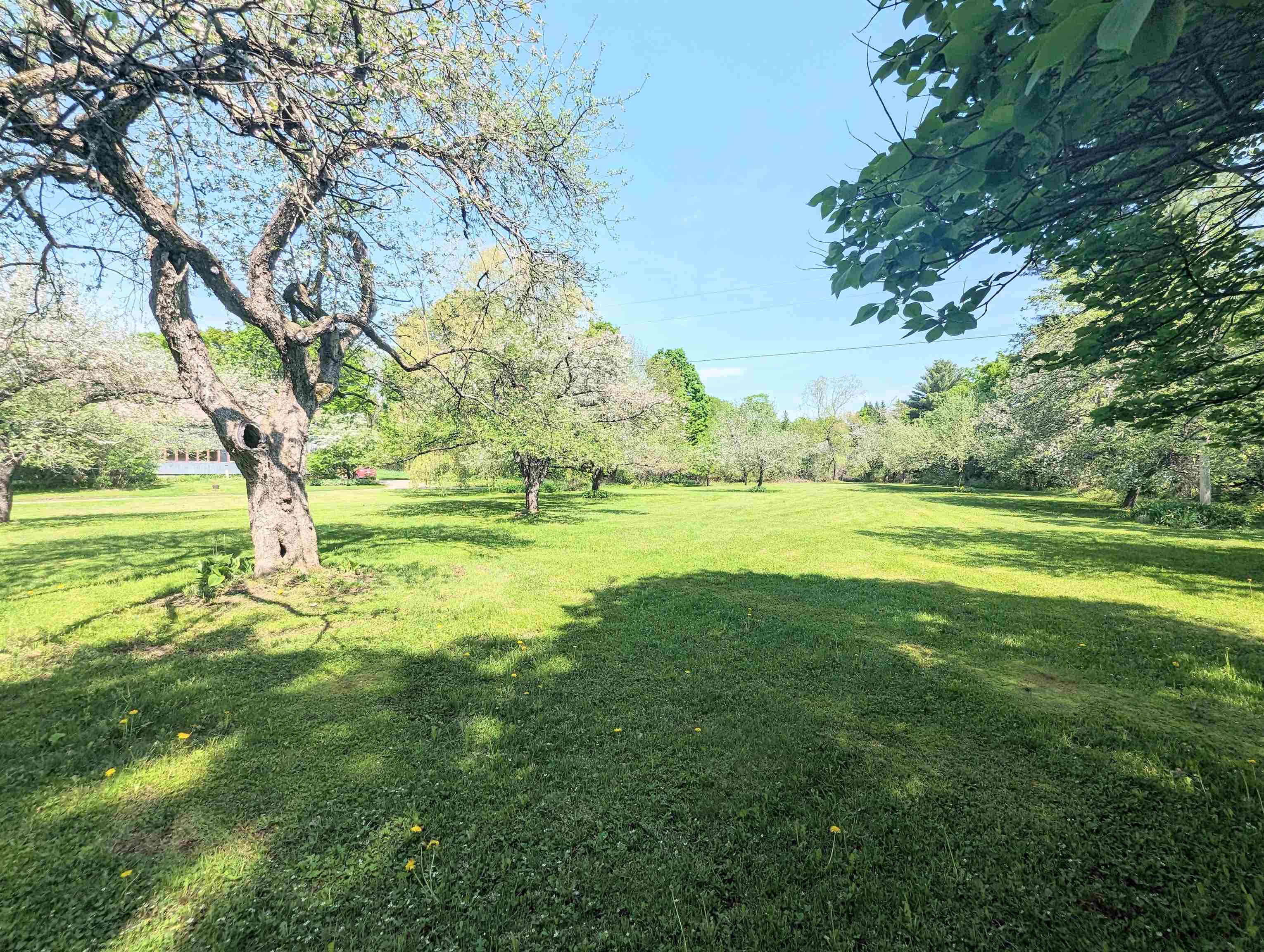 1214 Wheelock Road Sutton, VT 05867 - Photo 44 of 60