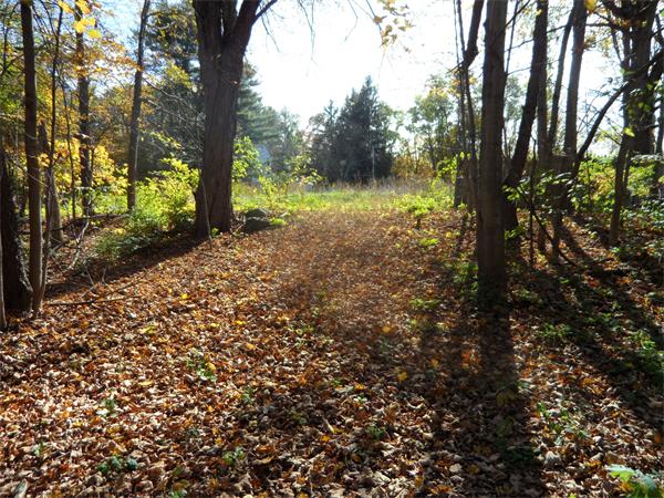 Lot 3 Wales Road Monson, MA 01057 - Photo 1 of 25 Gallery Image 1