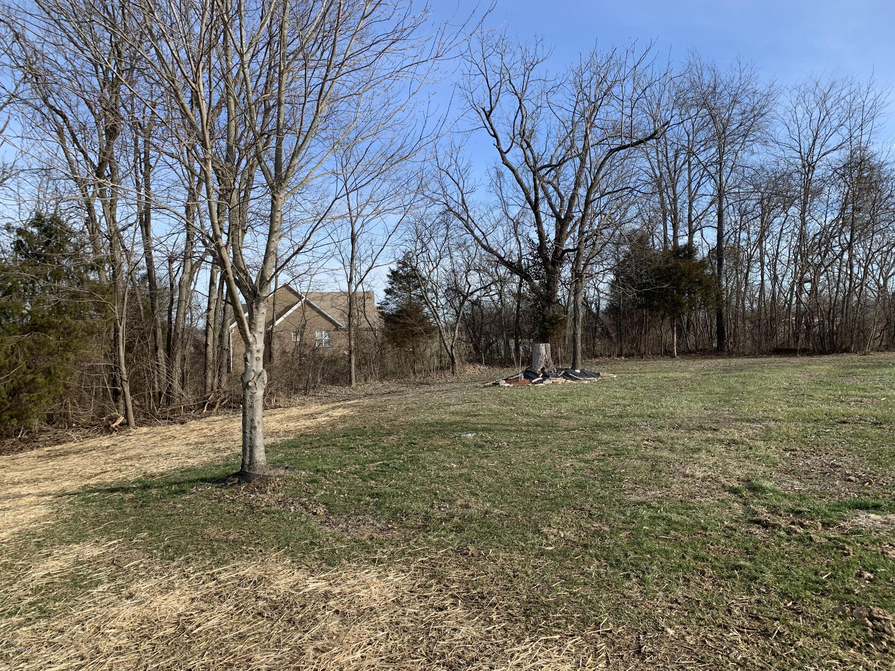 22 Cedar Run Road Pendleton, KY 40055 - Photo 30 of 37 side yard