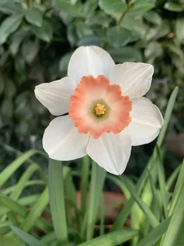 $1,688,000 | 1152 Curtner Avenue, San Jose, CA 95125