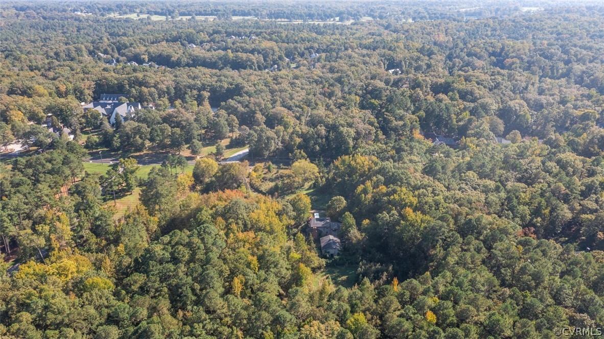 12310 River Road Henrico, VA 23238 - Photo 6 of 10 a view of a forest